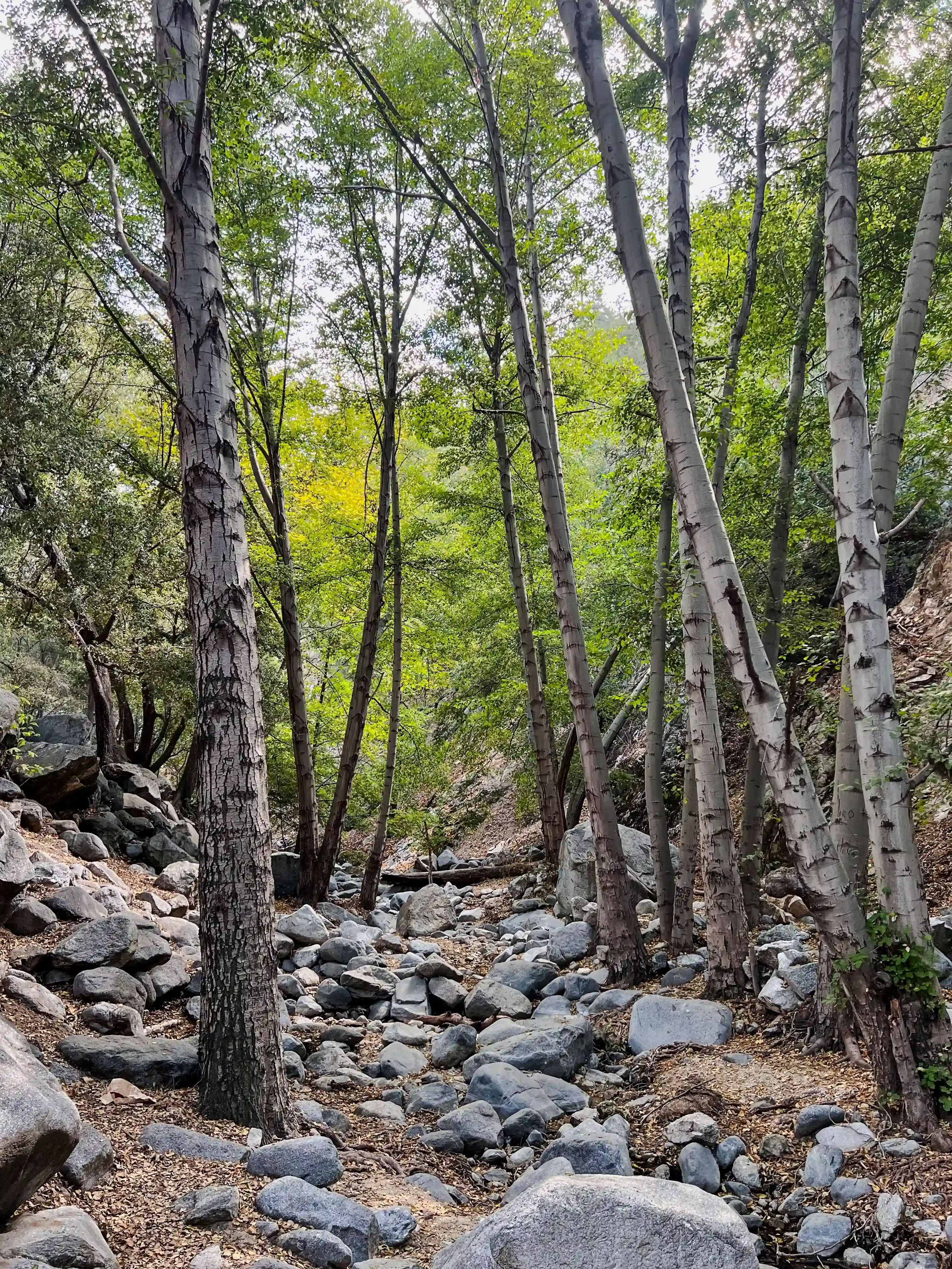 SwitzerFalls-02