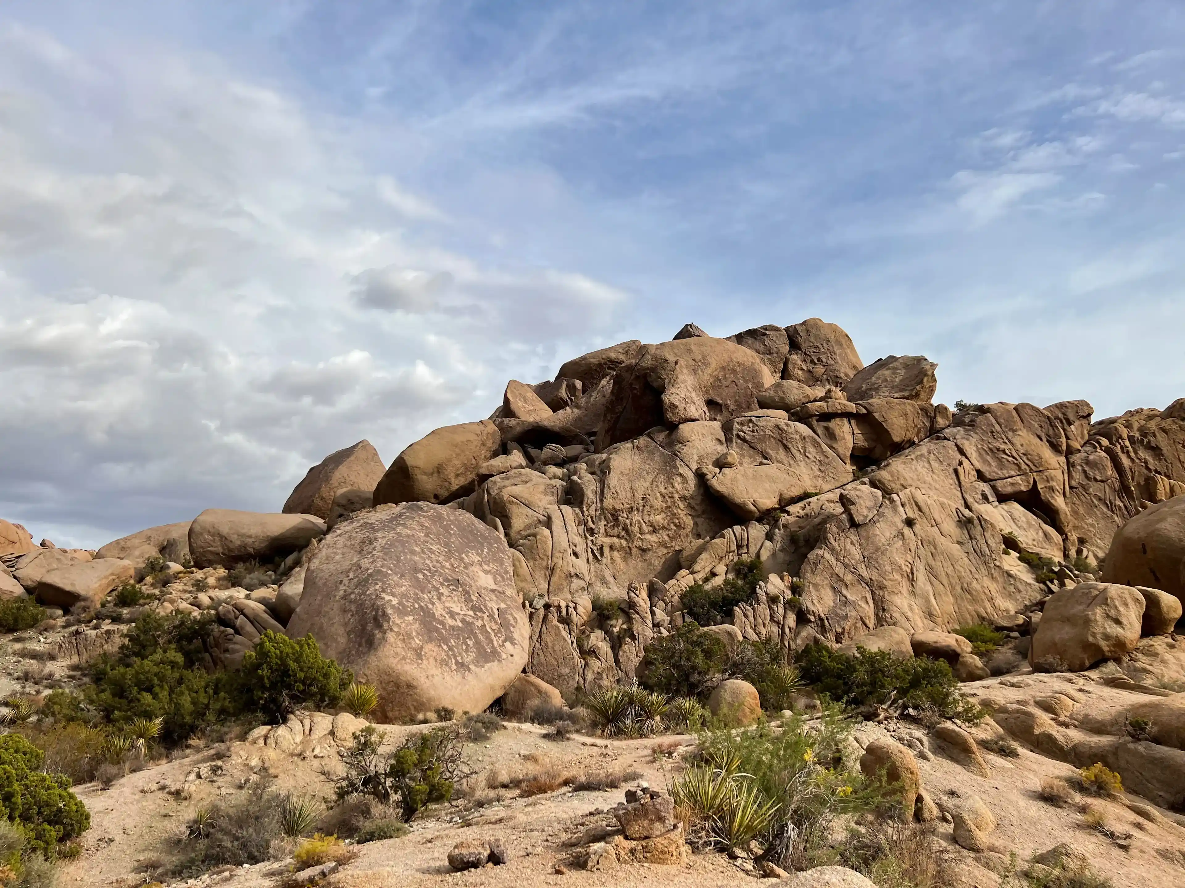cloudy-day-at-joshua-tree-04
