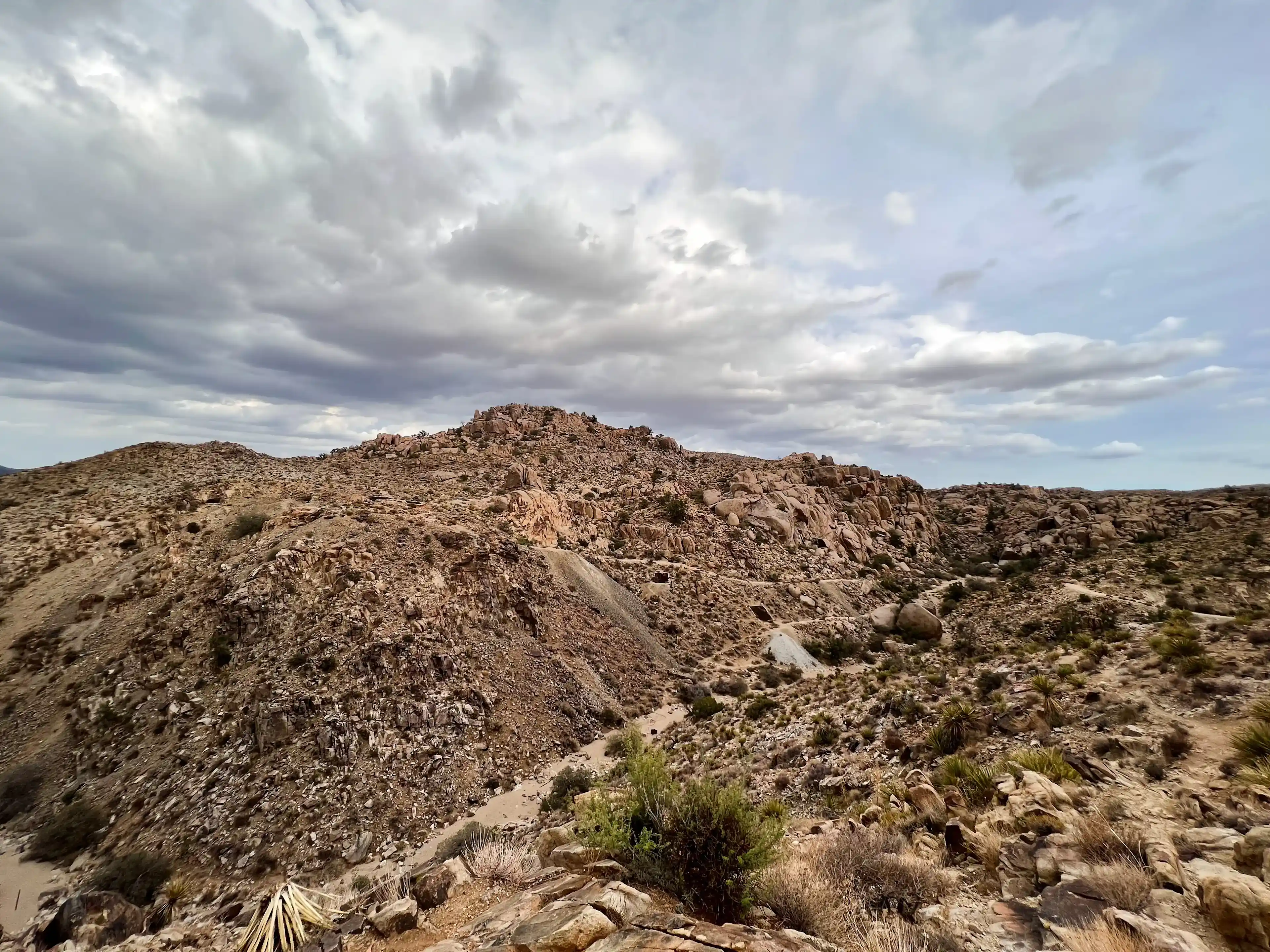 cloudy-day-at-joshua-tree-09