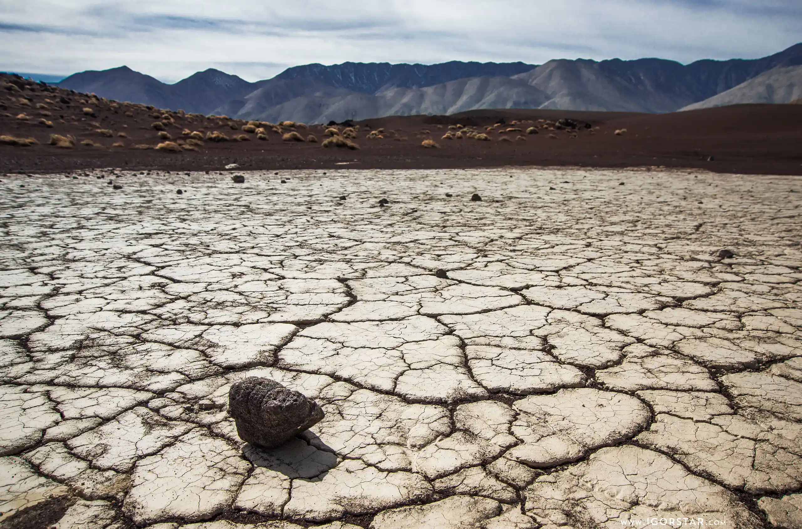 the-bloom-of-desert-08