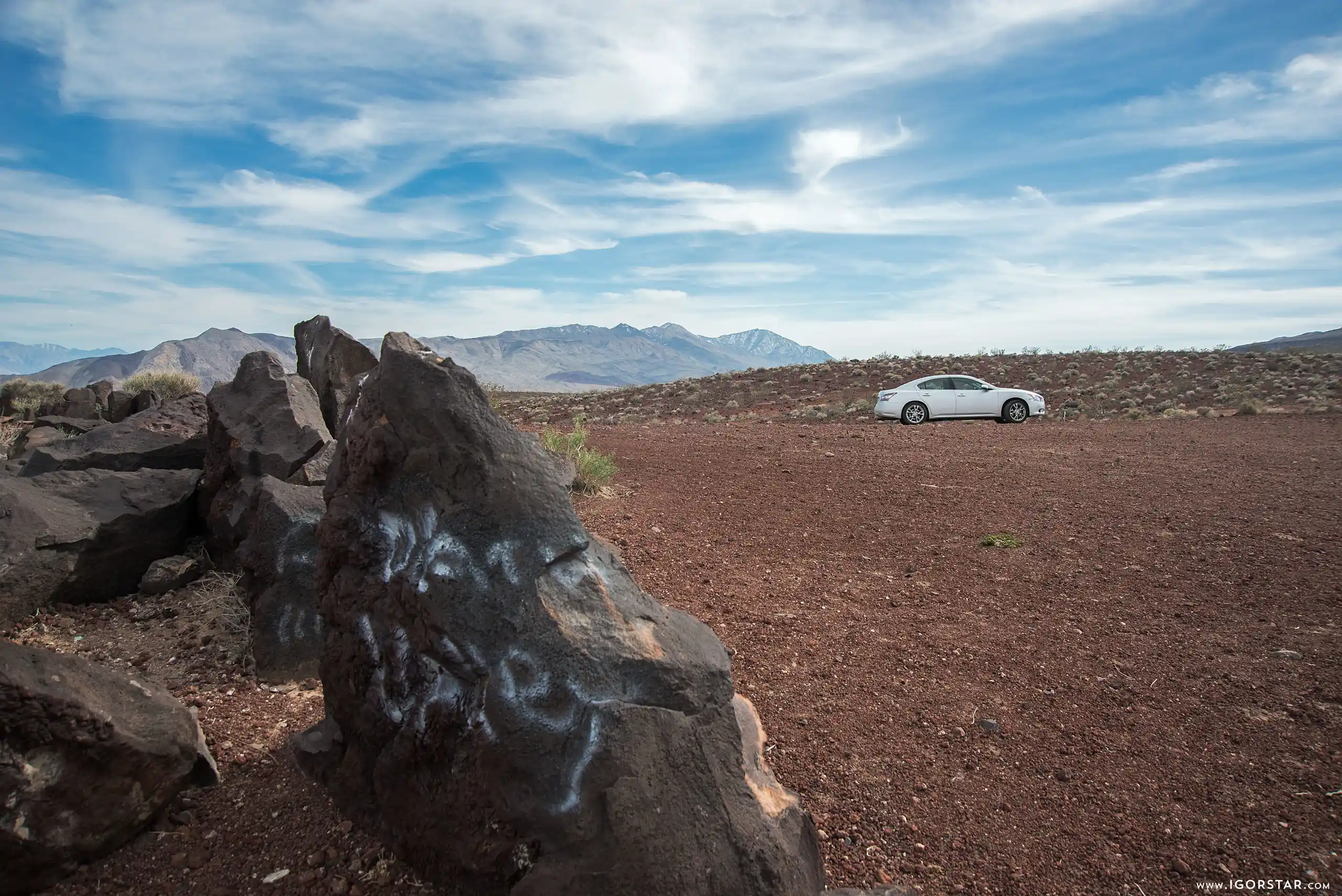 the-bloom-of-desert-01