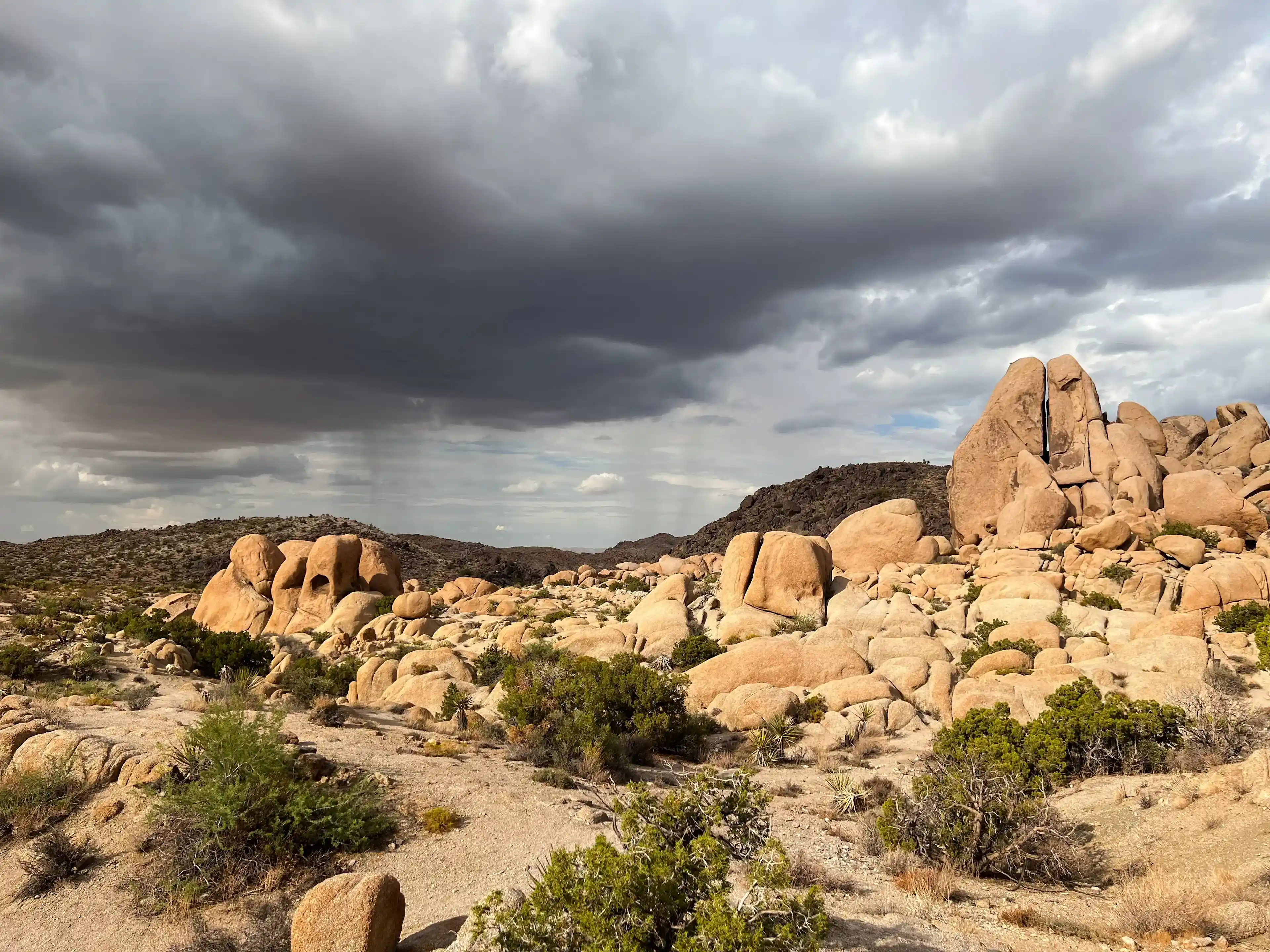 cloudy-day-at-joshua-tree-thumb