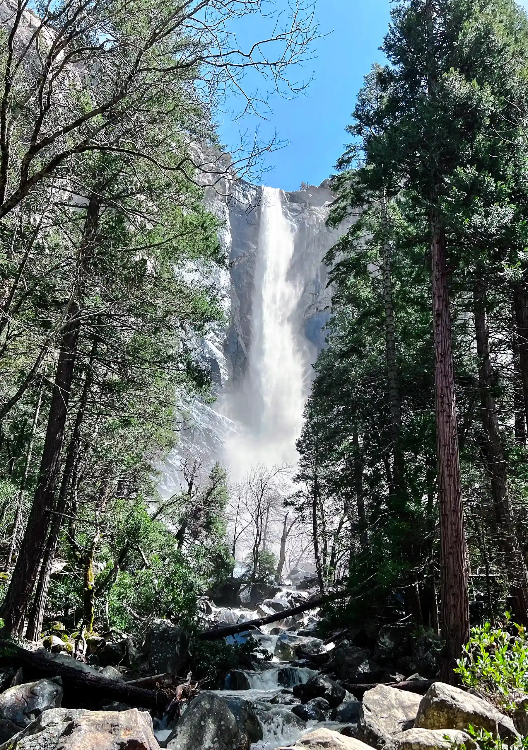 Bridalveil Fall