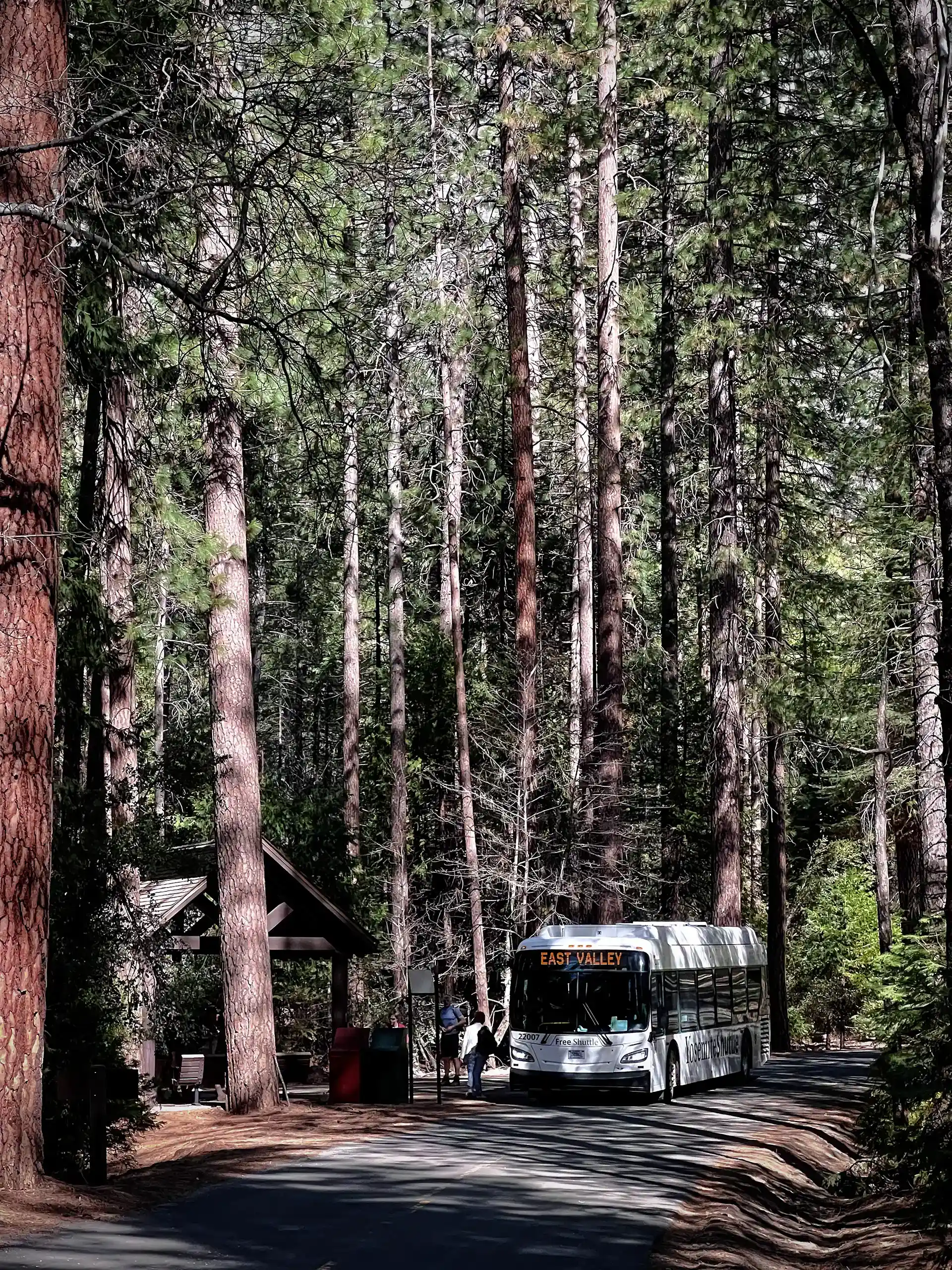 Shuttle bus in the forest