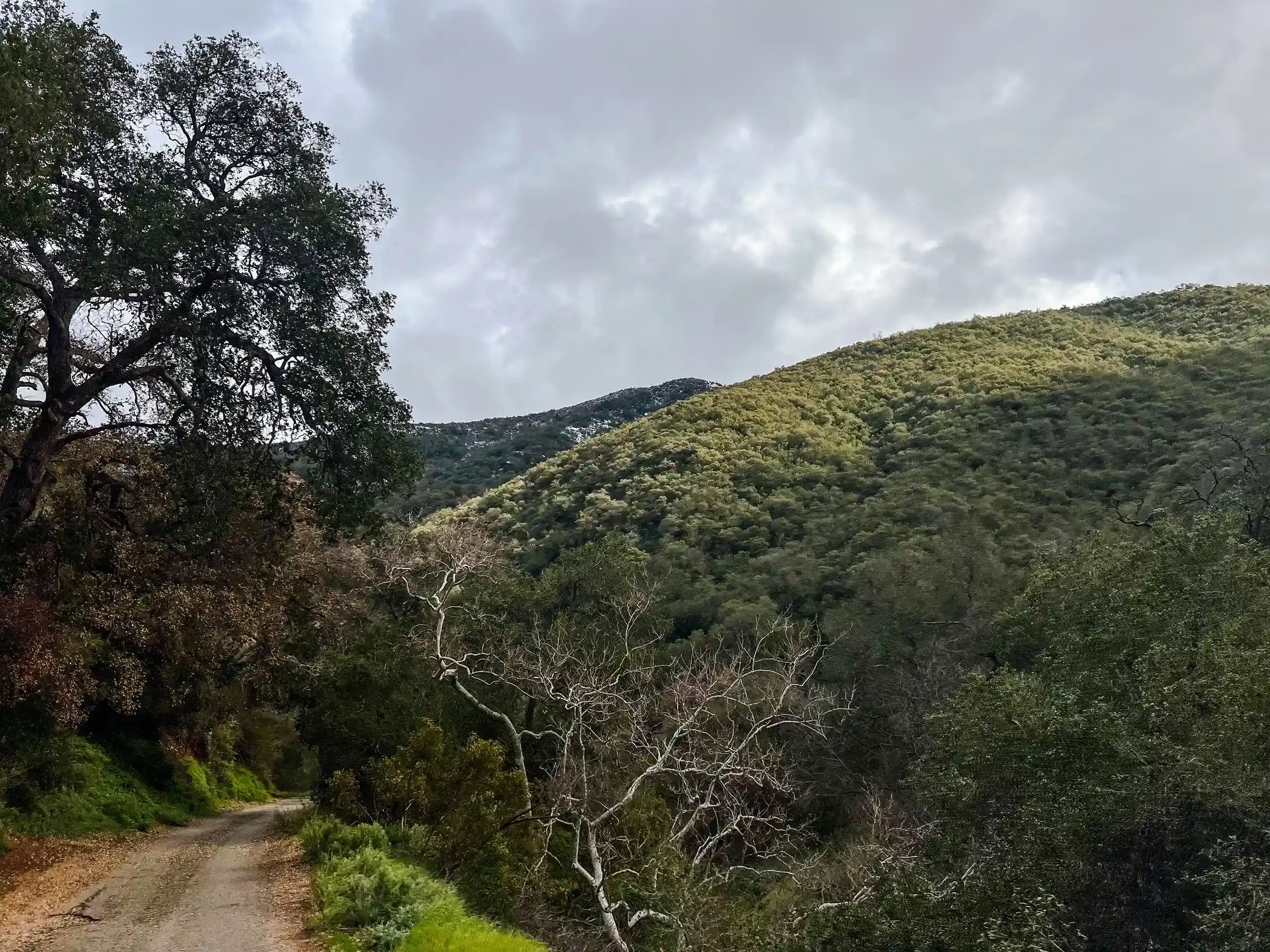 Green hills along the road. No snow so far