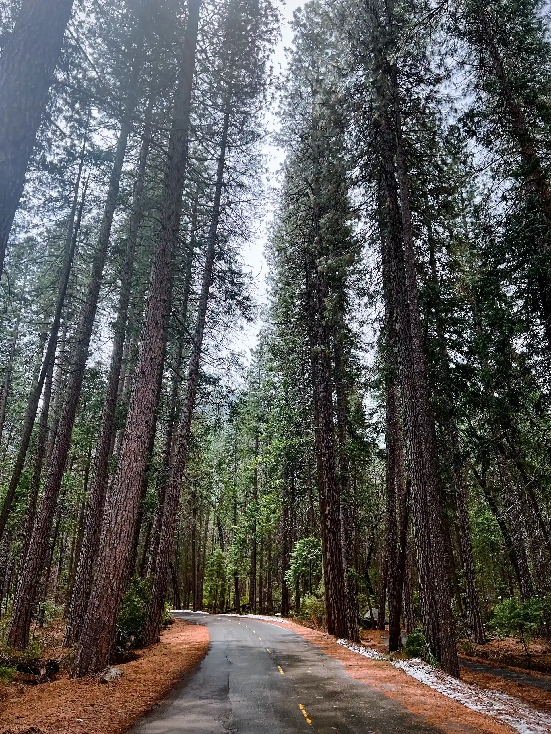 road in the valley
