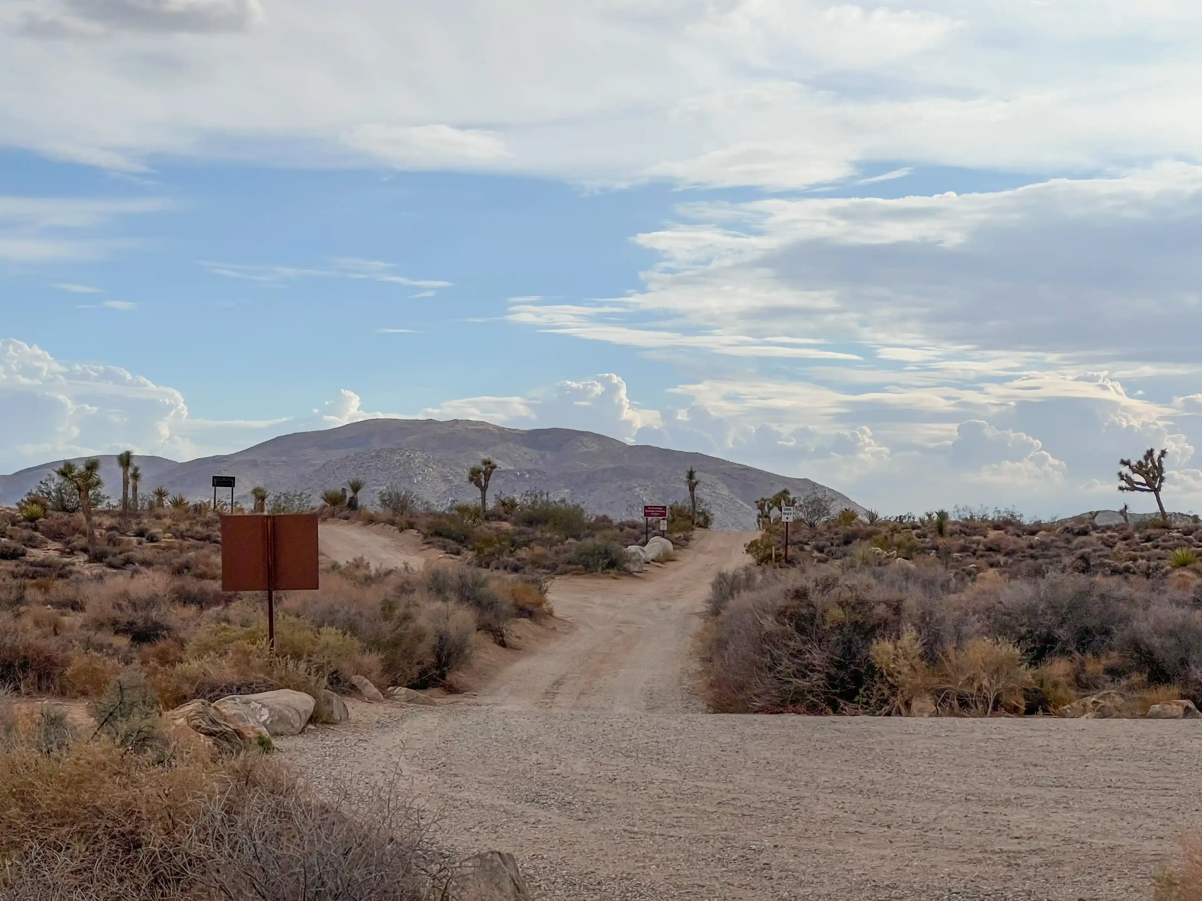 cloudy-day-at-joshua-tree-07