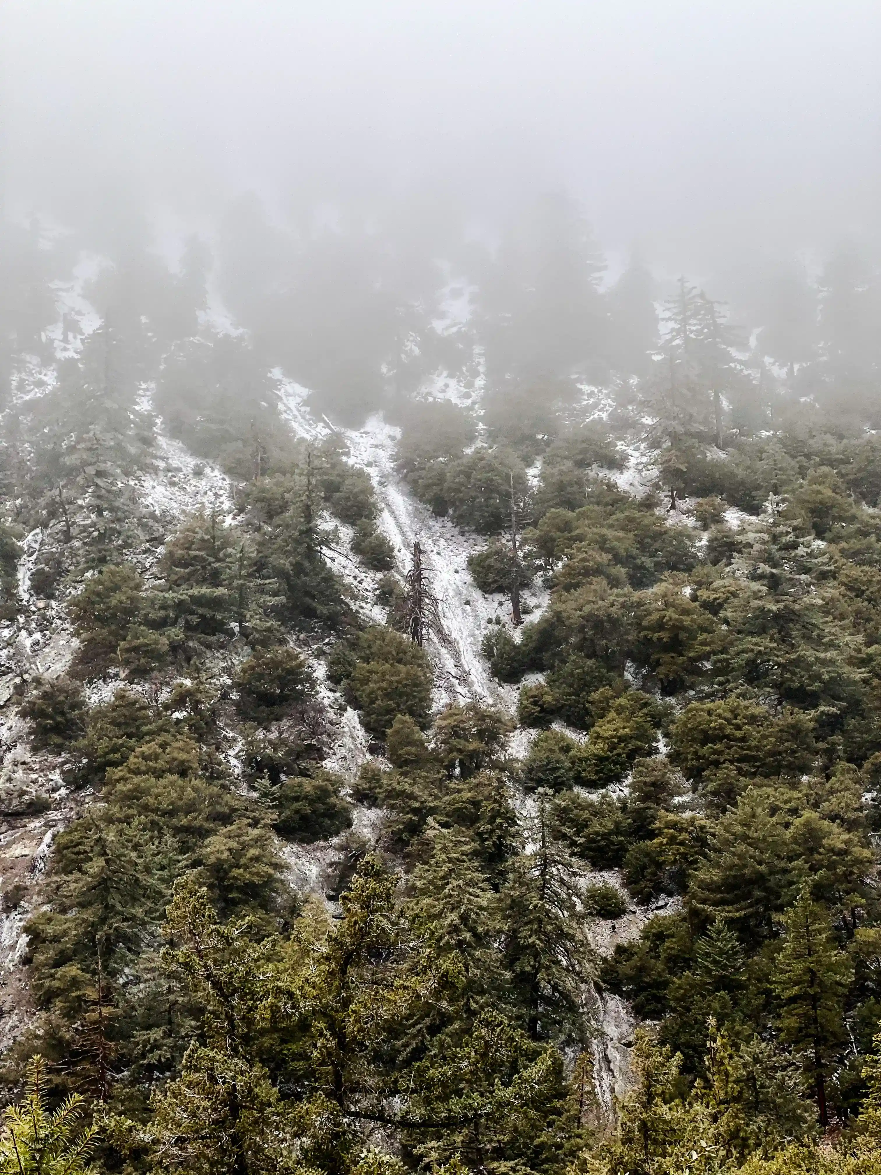 San Antonio Falls - forest mountains