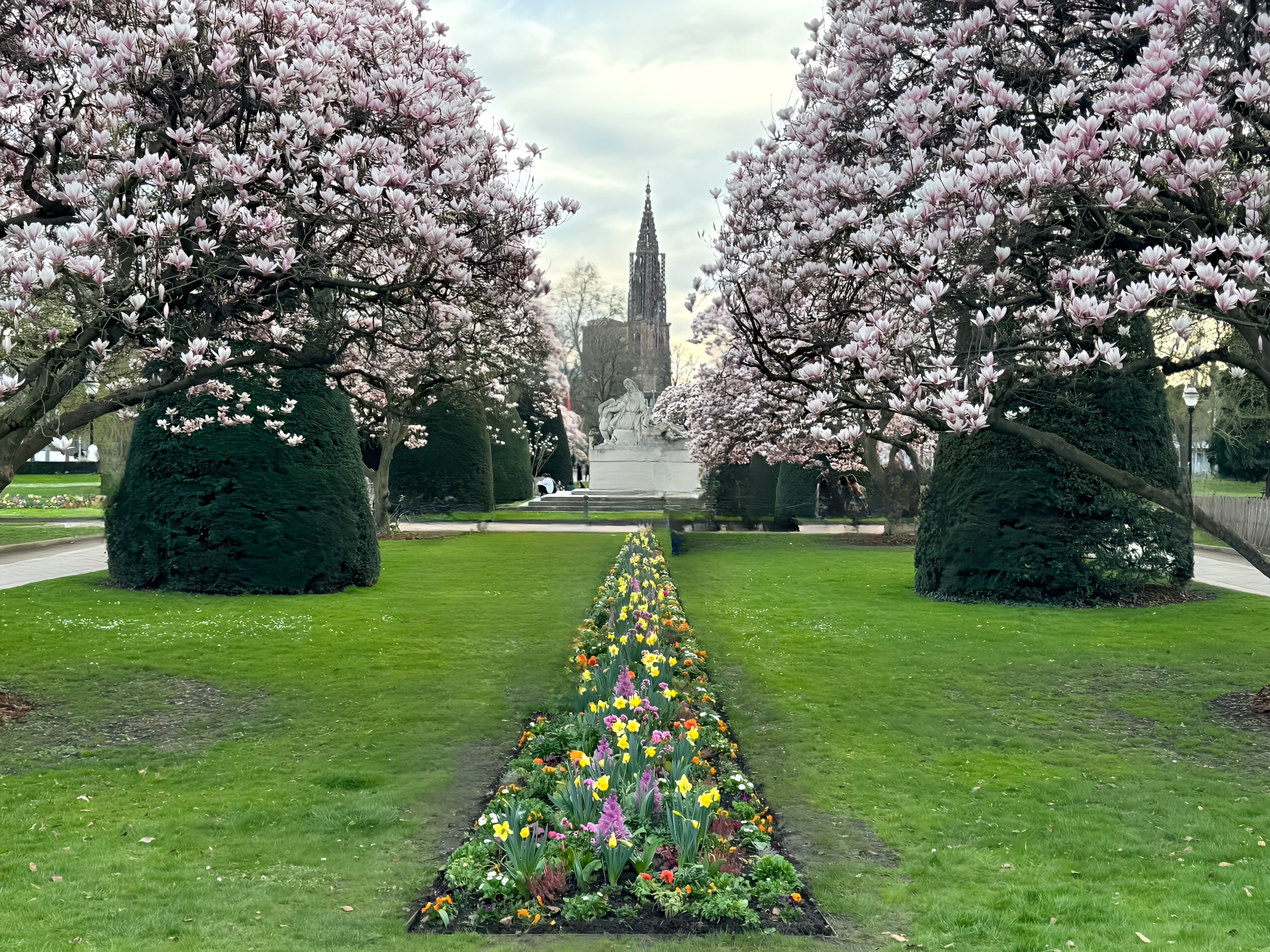 Découverte de Strasbourg - 5km