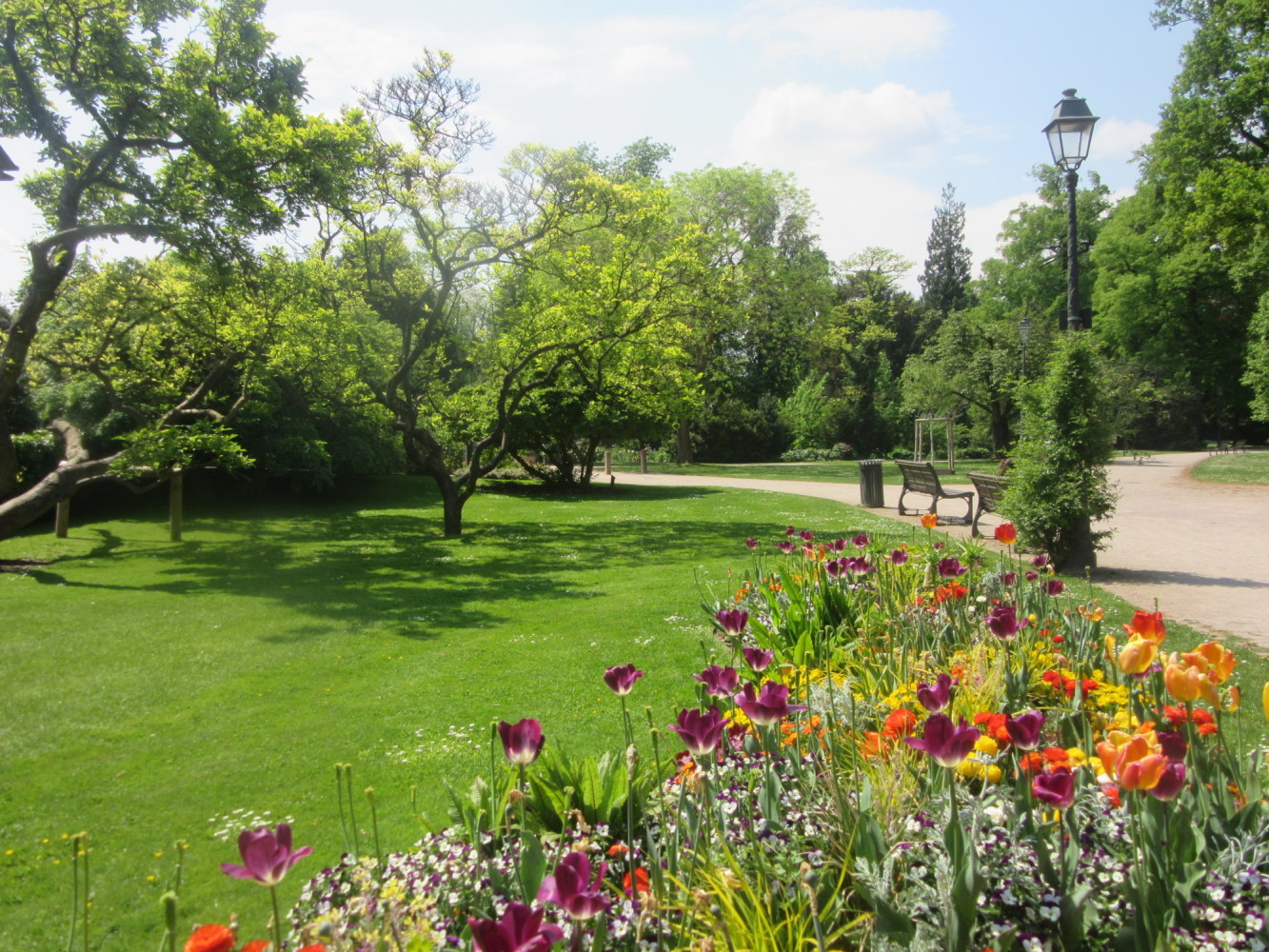 Découverte de Strasbourg - 15km