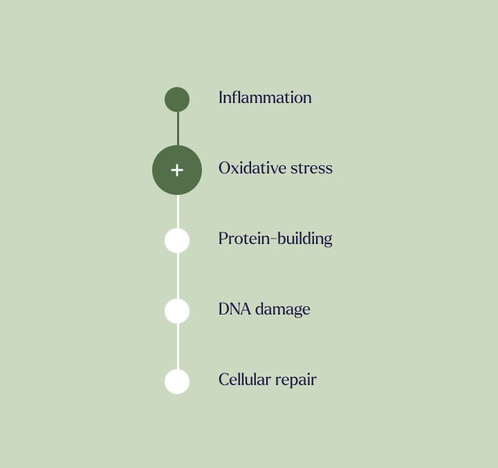 5 Cellular Oxidative Stress