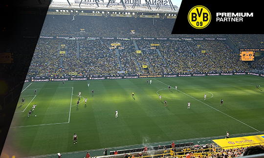 bvb-spielfeld-2
