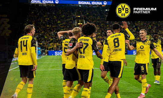 Der BVB im Winter-Check PTS BVB2