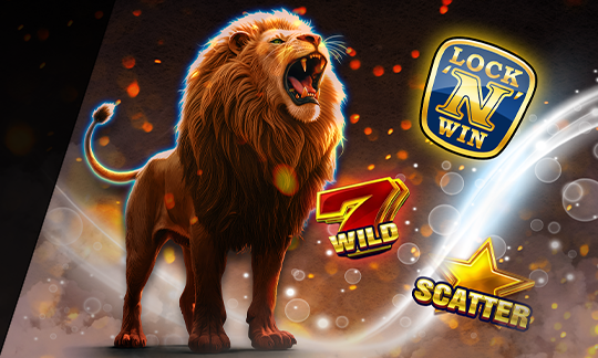 Features und Volatilität PTS