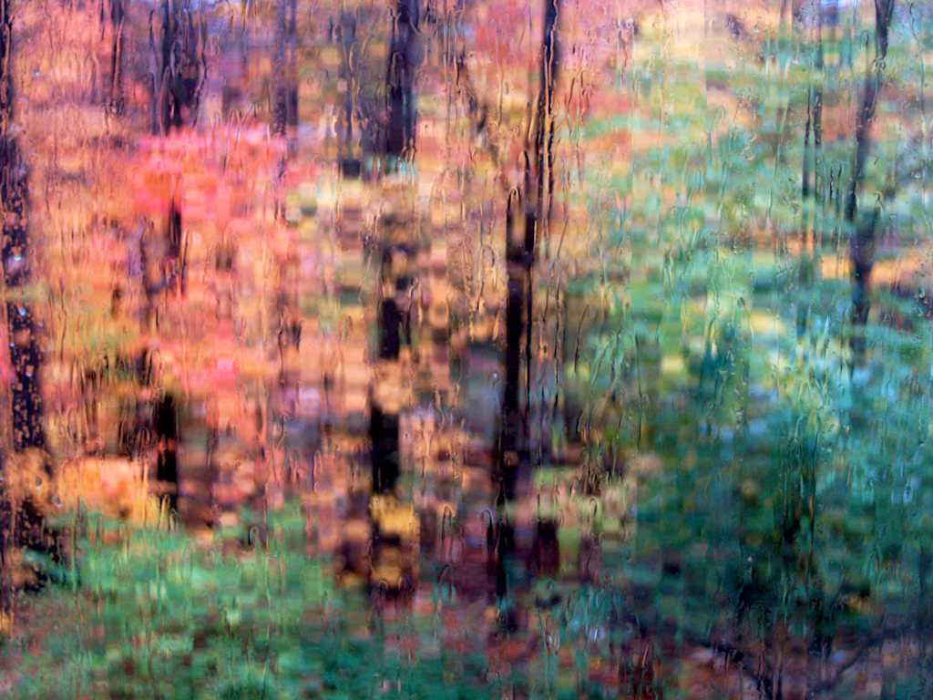 rainy-fall-window-2-e