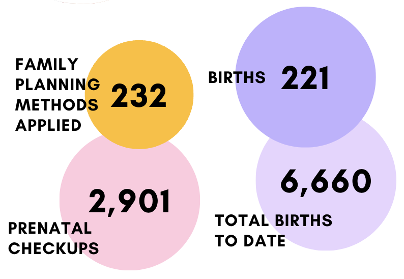 Healthy Moms Stats