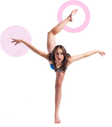 media.fields.description