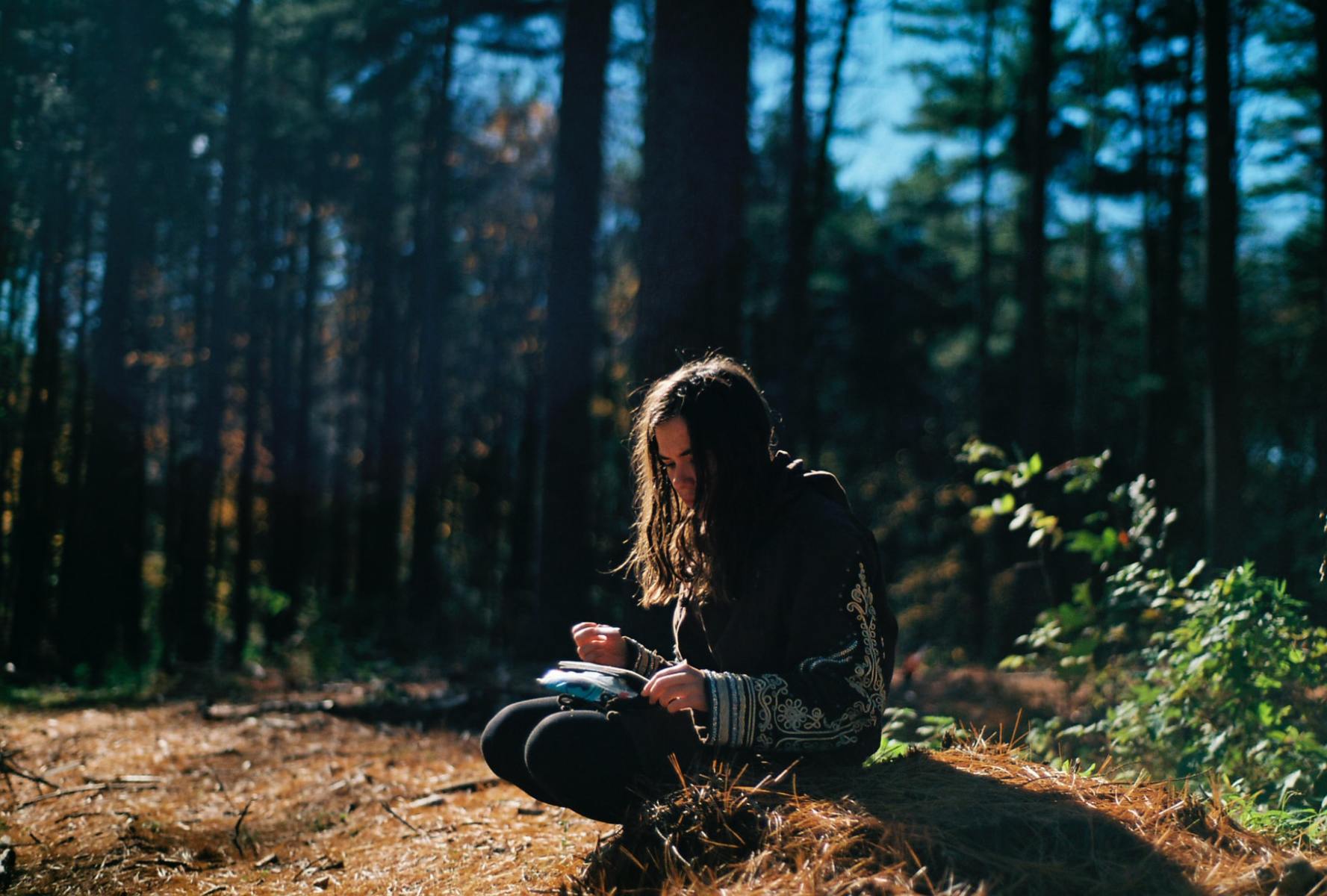 journaling in the woods