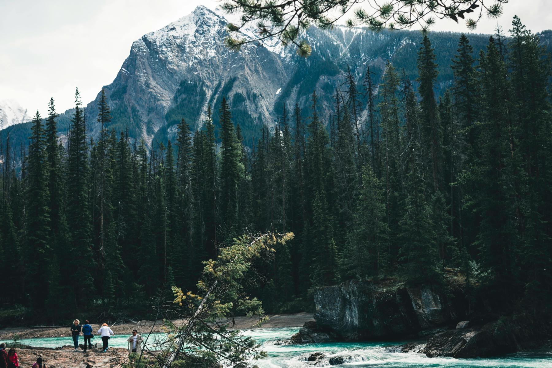 Explorers venture along a rocky riverside, surrounded by towering pine trees, with a majestic snow-capped mountain standing sentinel in the background