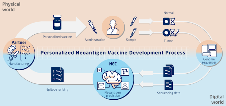 NECとNEC Bio、がん免疫療法向けT細胞受容体の予測AIモデルを開発 | m3.com AI Lab