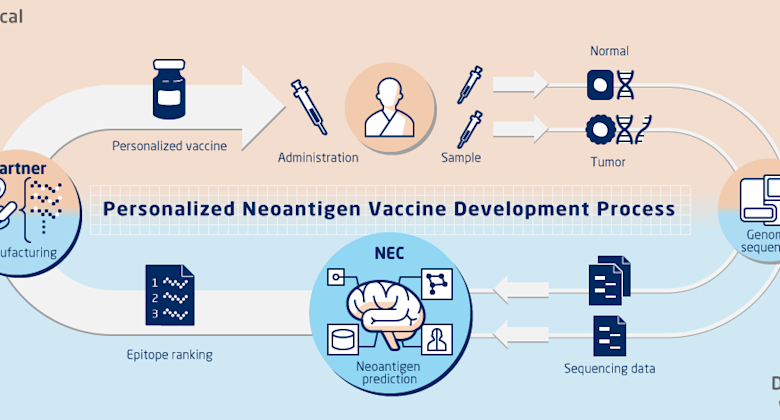 Nec Bio NECとNEC Bio、がん免疫療法向けT細胞受容体の予測AIモデルを開発 | m3.com AI Lab