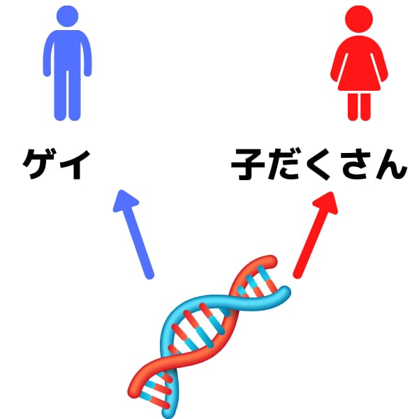 なぜゲイは生まれる ゲイは遺伝するのか