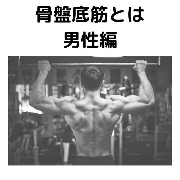 医師監修 男性における骨盤底筋とは 医師監修 男性における骨盤底筋とは