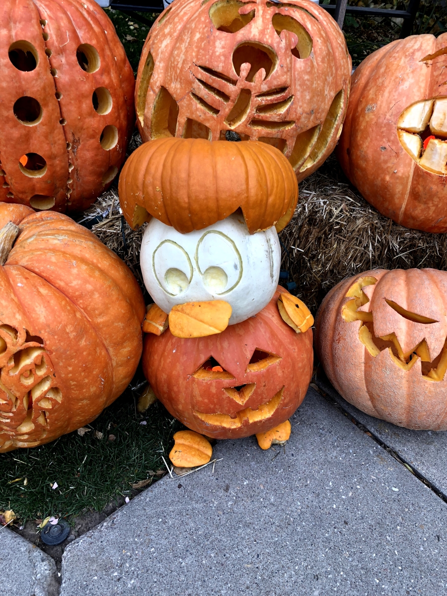 donald-duck-pumpkin-carving-utah-pumpkins