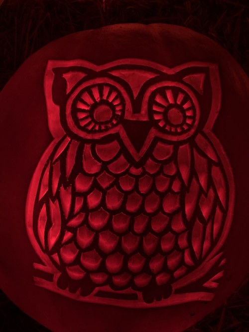 Owl Pumpkin Carving