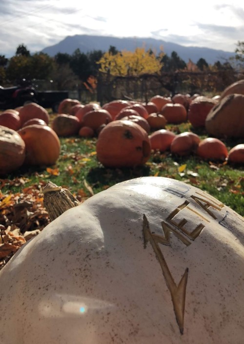 Fall Pumpkins in Utah