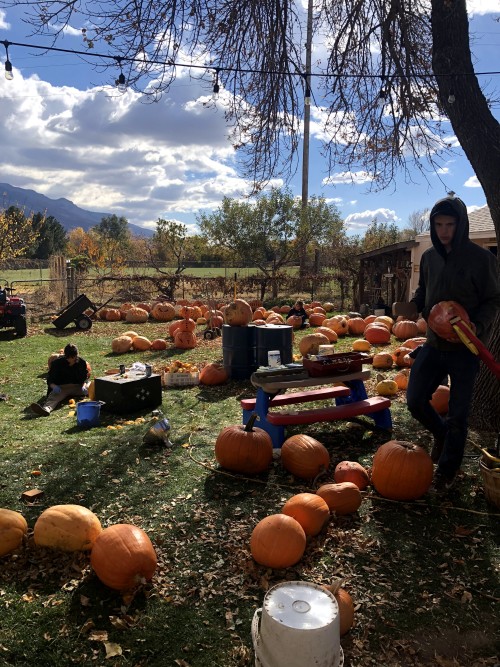 Pumpkin Carving Party 2018