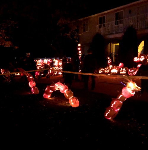 Dragon Pumpkin Carving