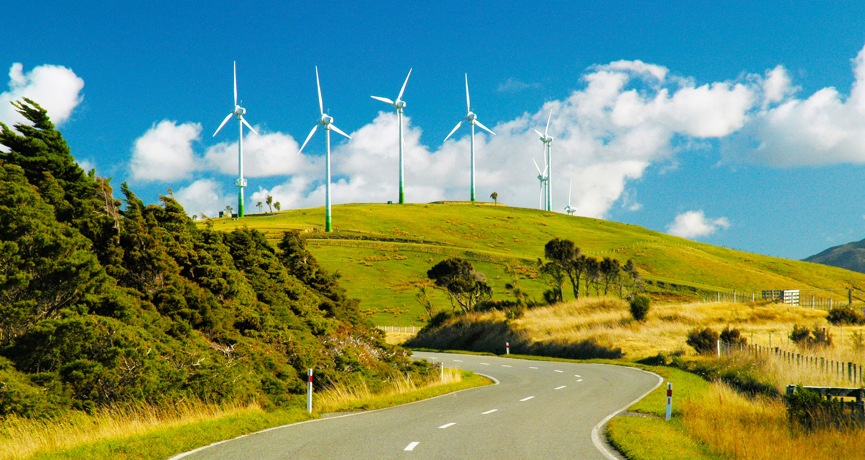 Investing in NZ renewable energy | Invest New Zealand