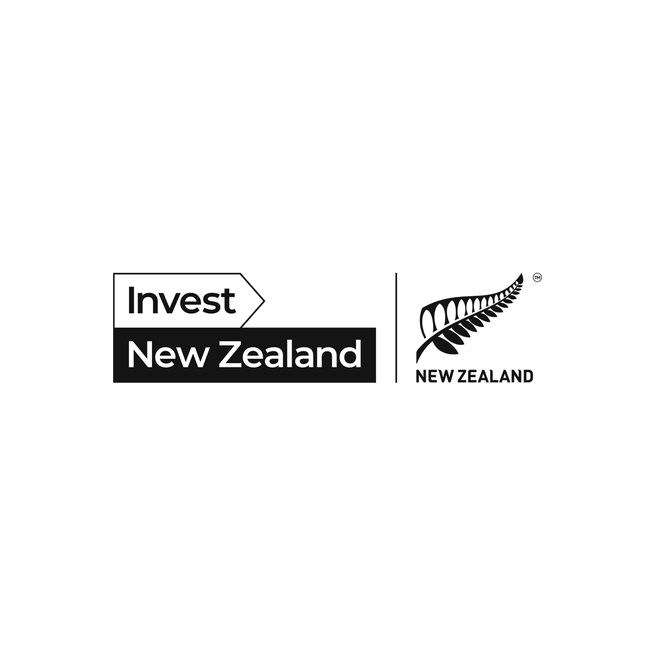 Free High-Quality New Zealand Cricket Logo for Creative Design