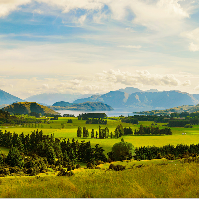 FBCG SEA FHA 2026 hero image