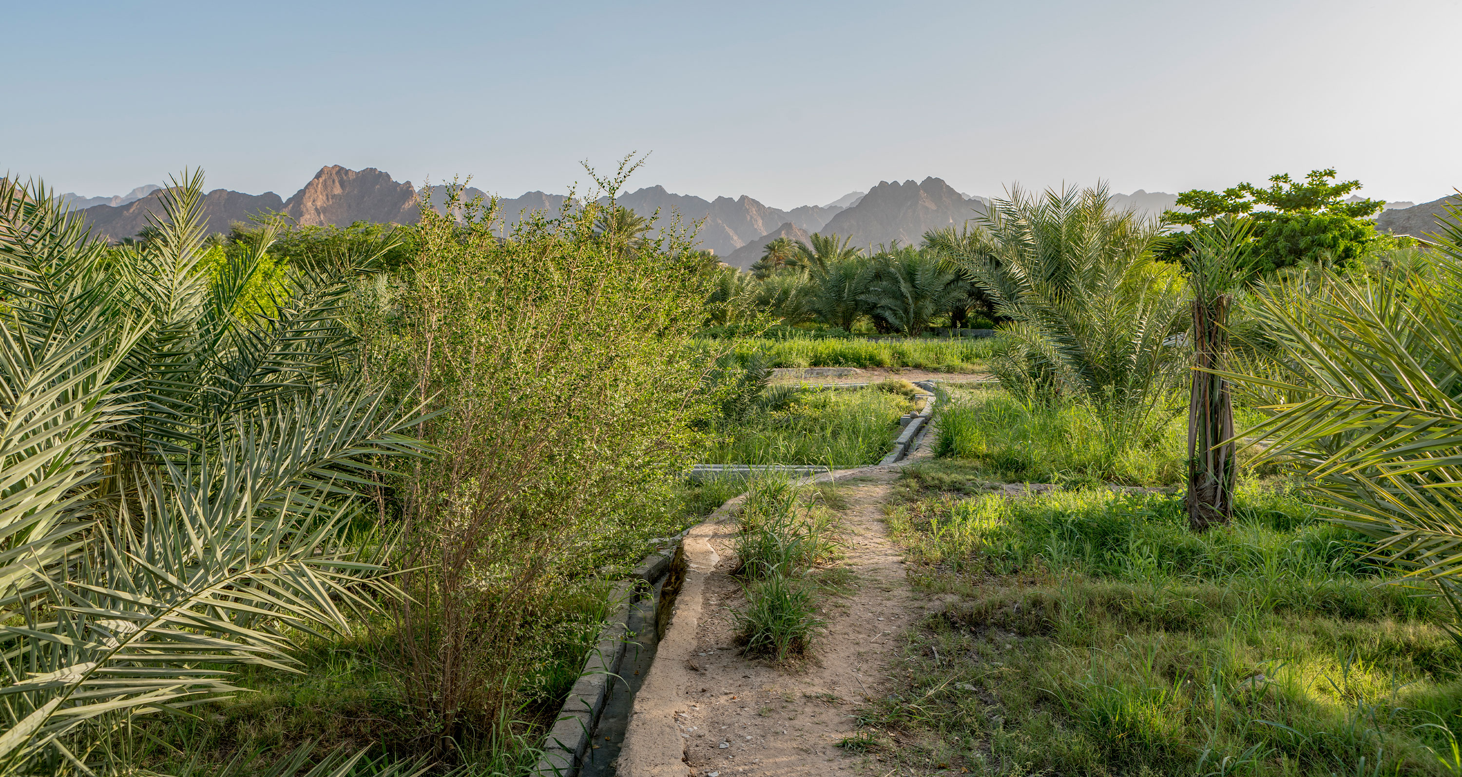 Improving sustainable groundwater management in the UAE
