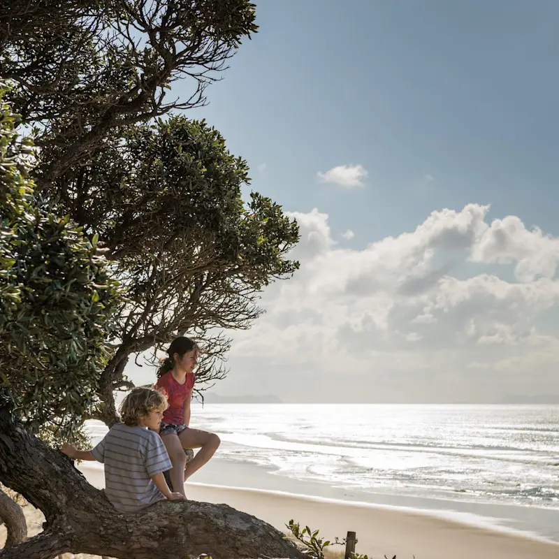 Investor-migrant-1600x1600