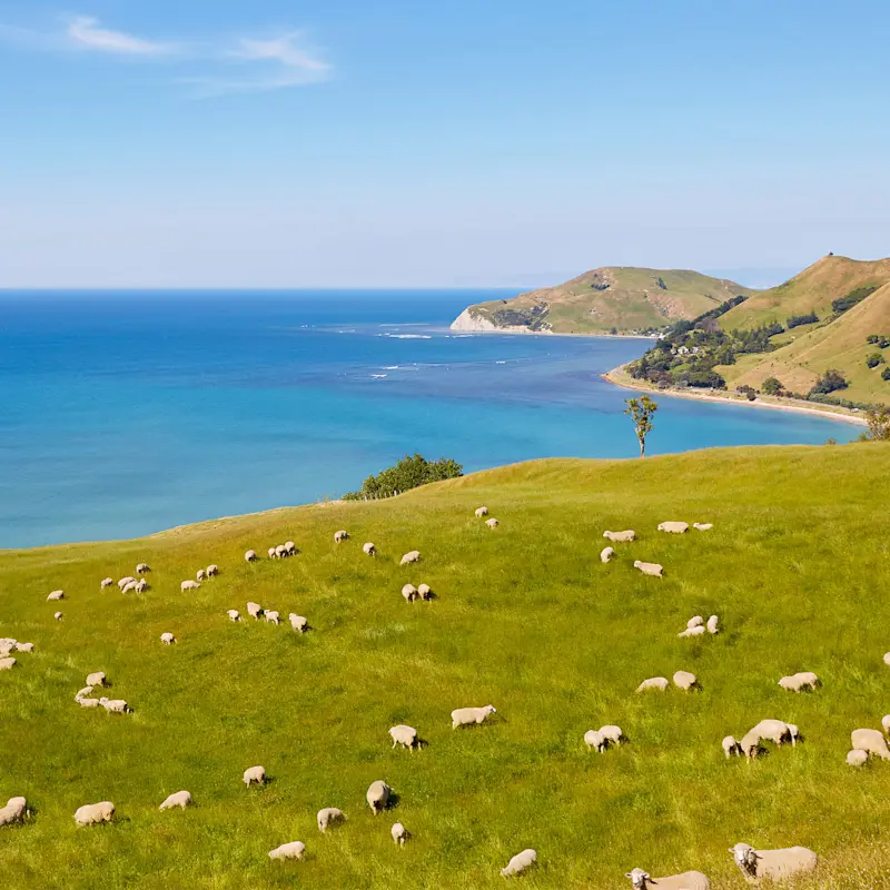 ConsumerHeroImage1 3000x1596px