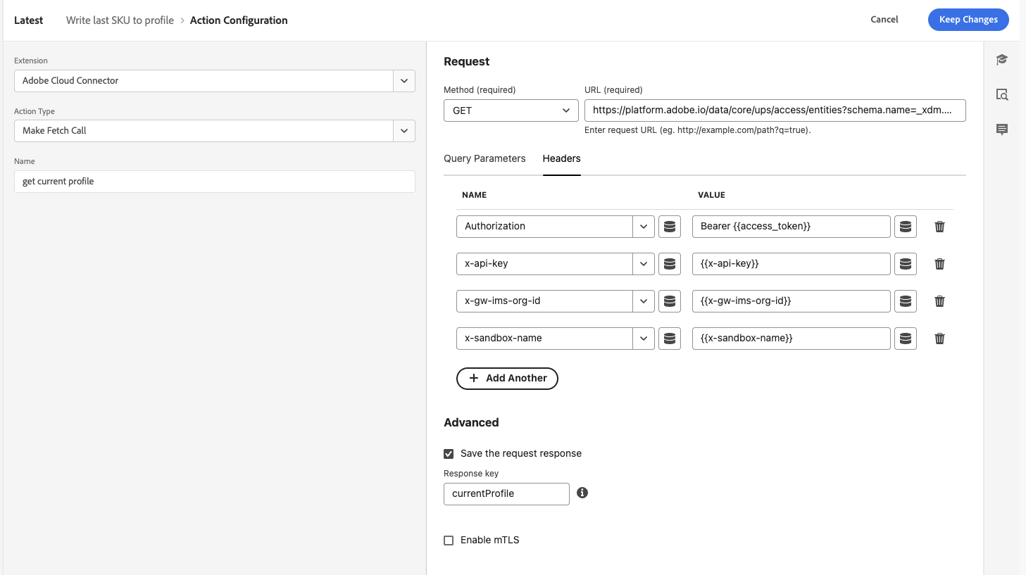 Access Token Data Element
