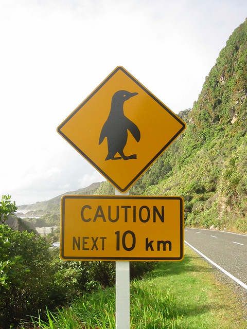 penguin crossing