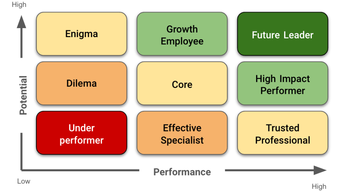 Traditional 9 Box Grid