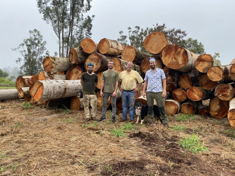 “One of the sawmills that we work with (Kalani Hardwoods) has developed an app where we track the Albizia trees by tagging them. Down the road, you can scan a tagged product with your phone, and you’ll get info about where the tree fell and the restoration project it contributed to.”