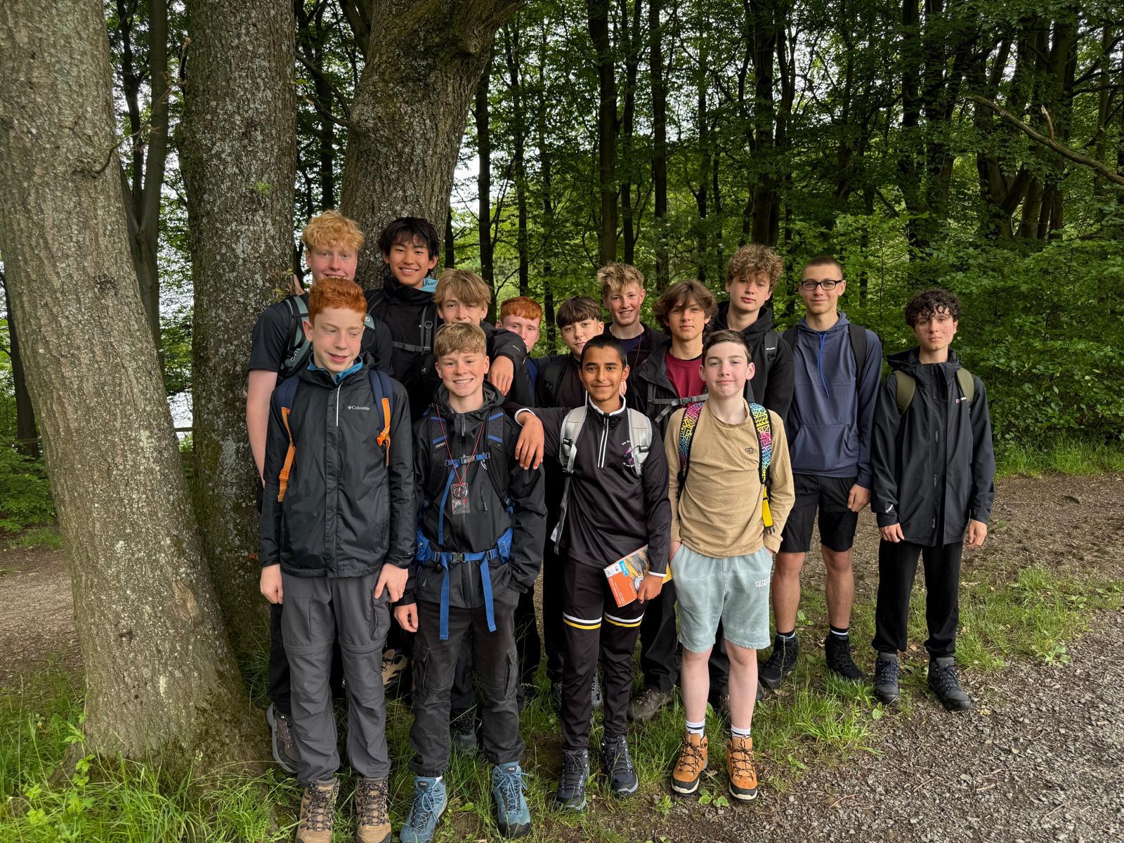 group by tree