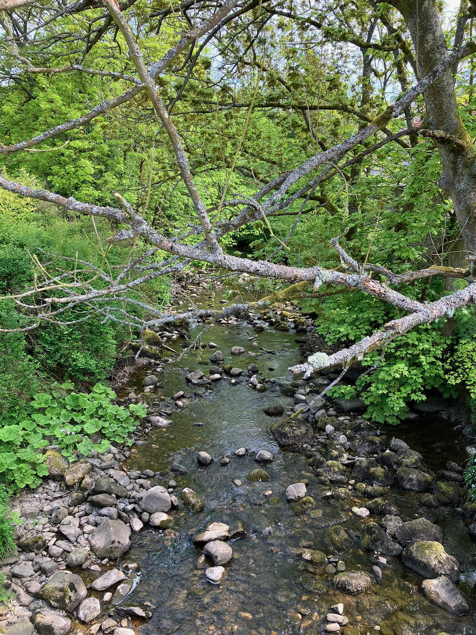 Image 16 from Silver Practice Expedition
