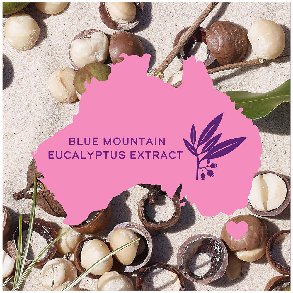 Blue Mountain Eucalyptus Extract