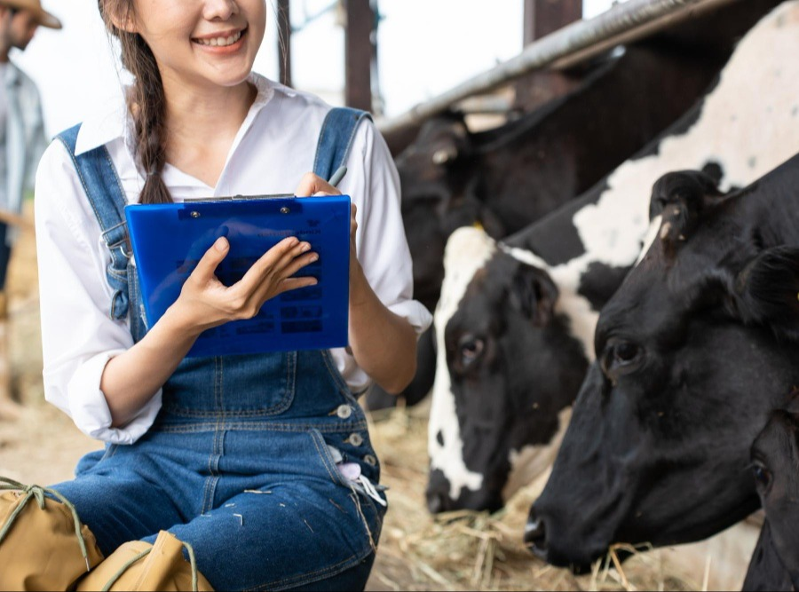 women taking notes over a next to a cows