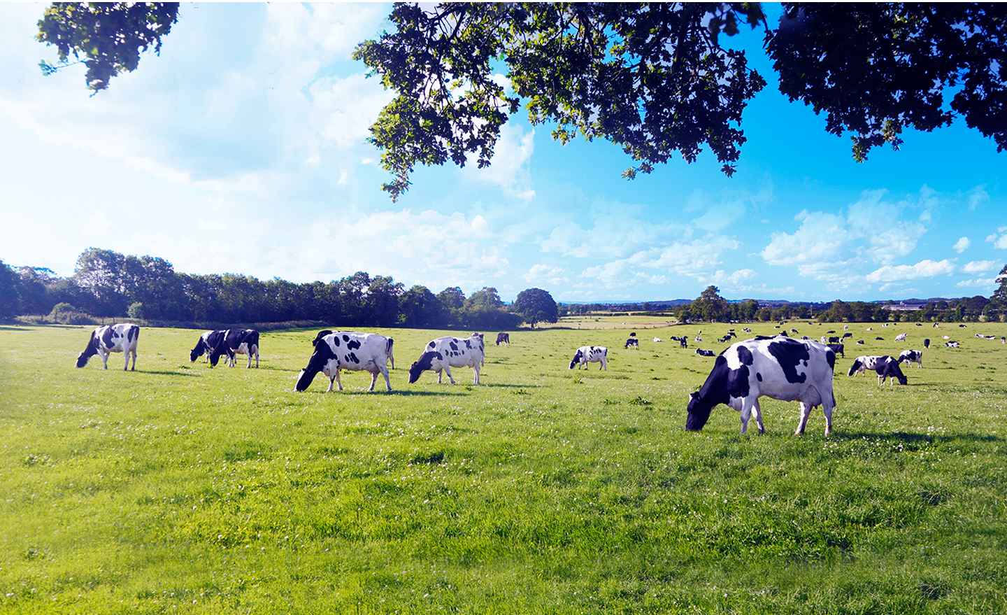 Construindo o futuro com a força de 10 anos de história.