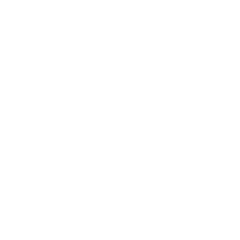 Barras de Proteína​