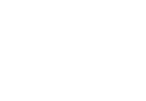 logo bienenlieb w