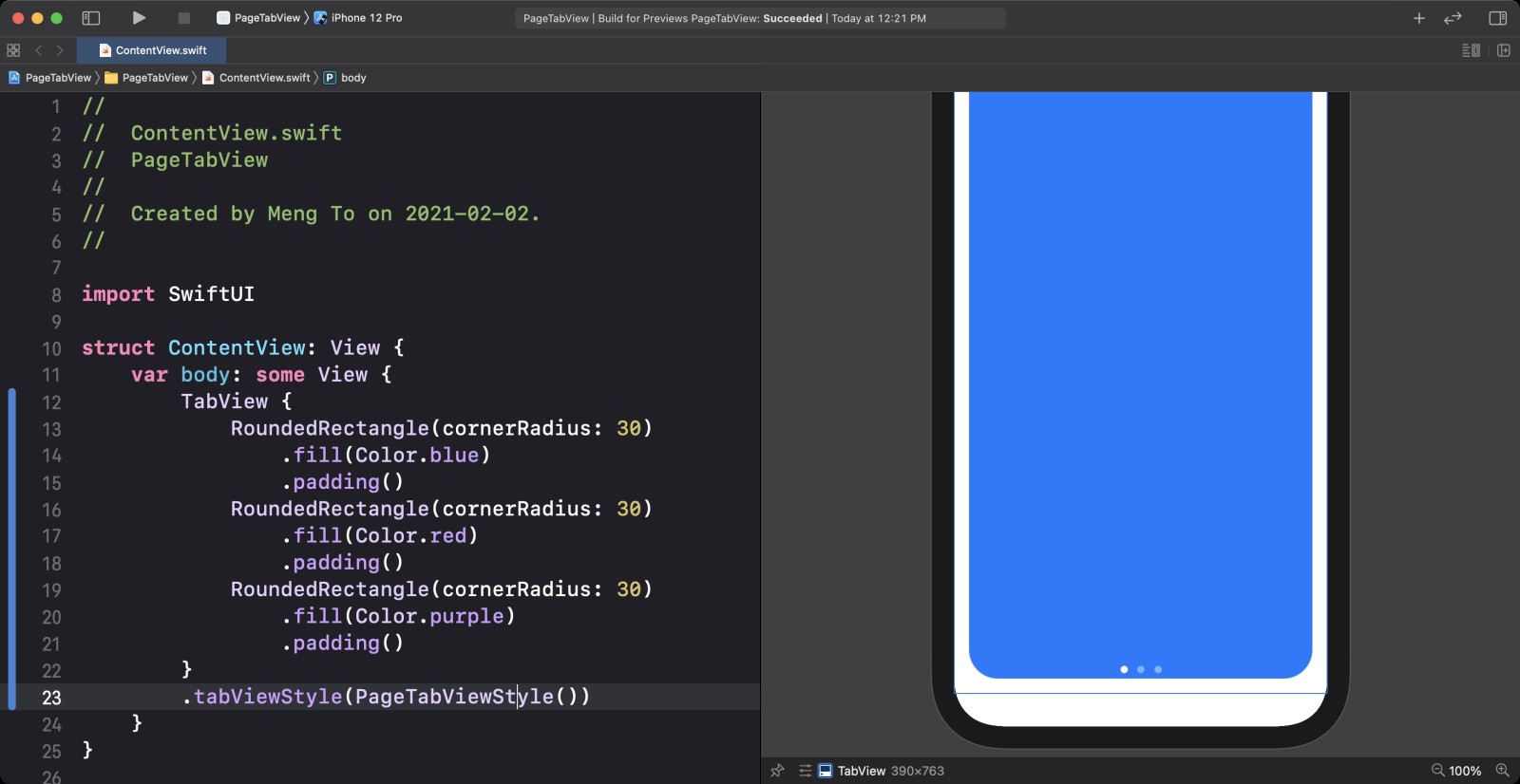 Screen Shot 2021-02-11 at 12.21.52 PM
